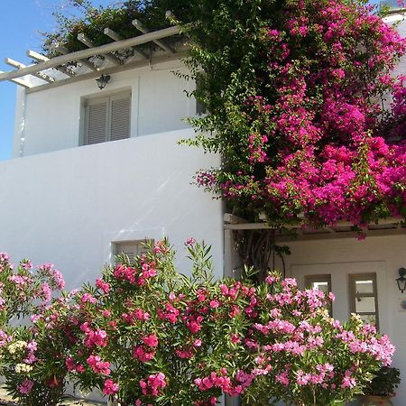 Aparthotel Despina'S Mare à Náoussa Extérieur photo