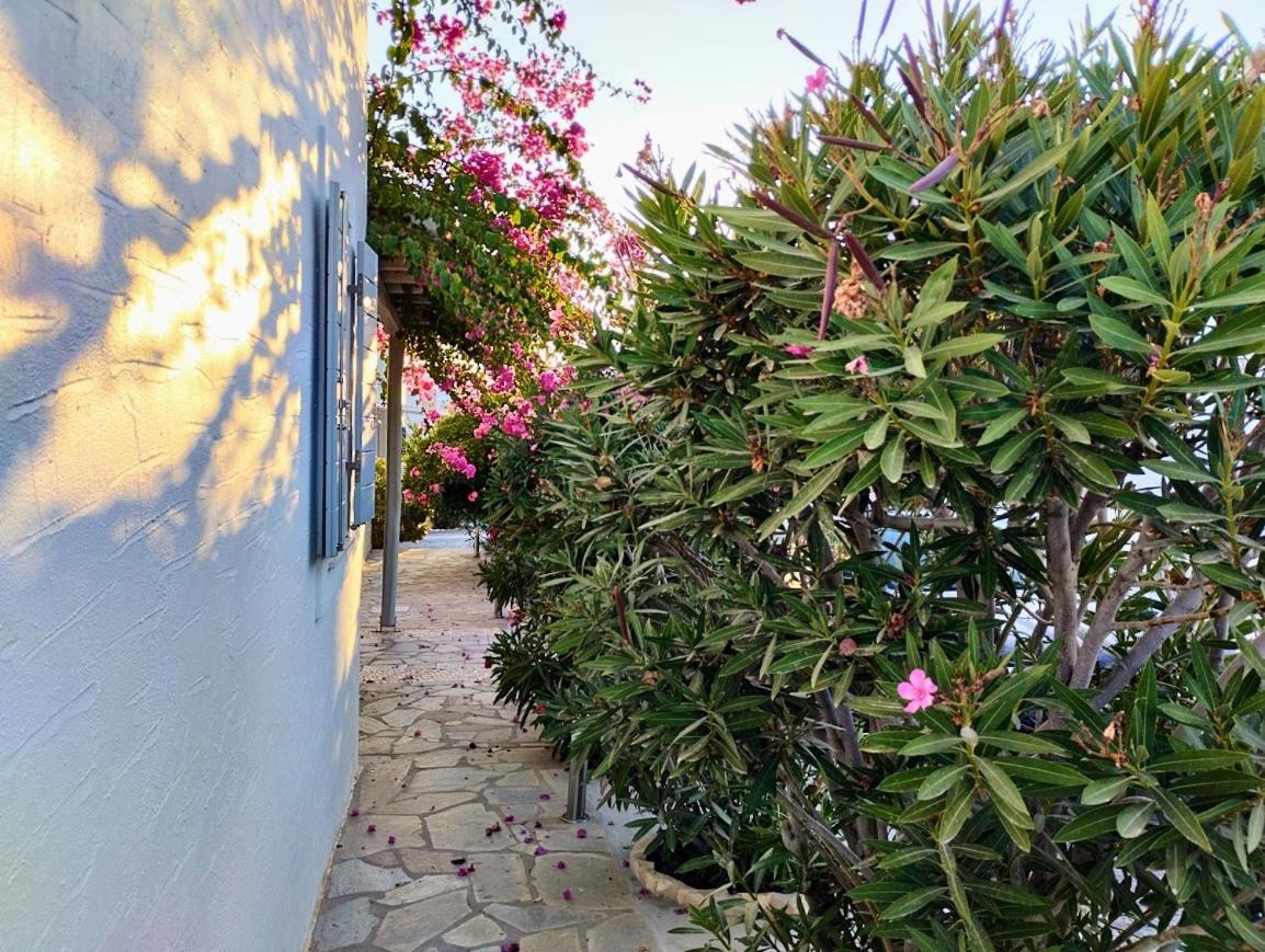 Aparthotel Despina'S Mare à Náoussa Extérieur photo