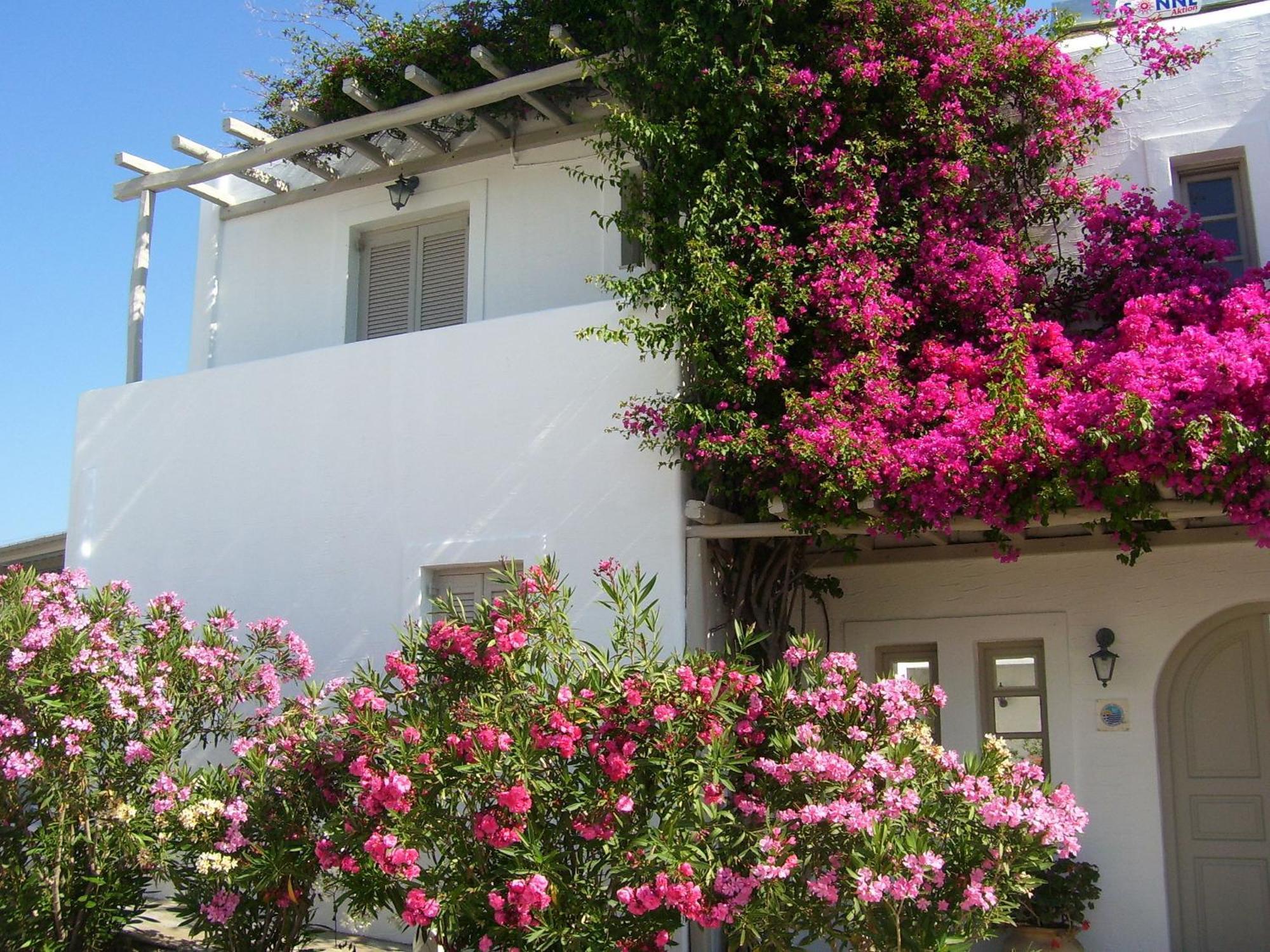 Aparthotel Despina'S Mare à Náoussa Extérieur photo