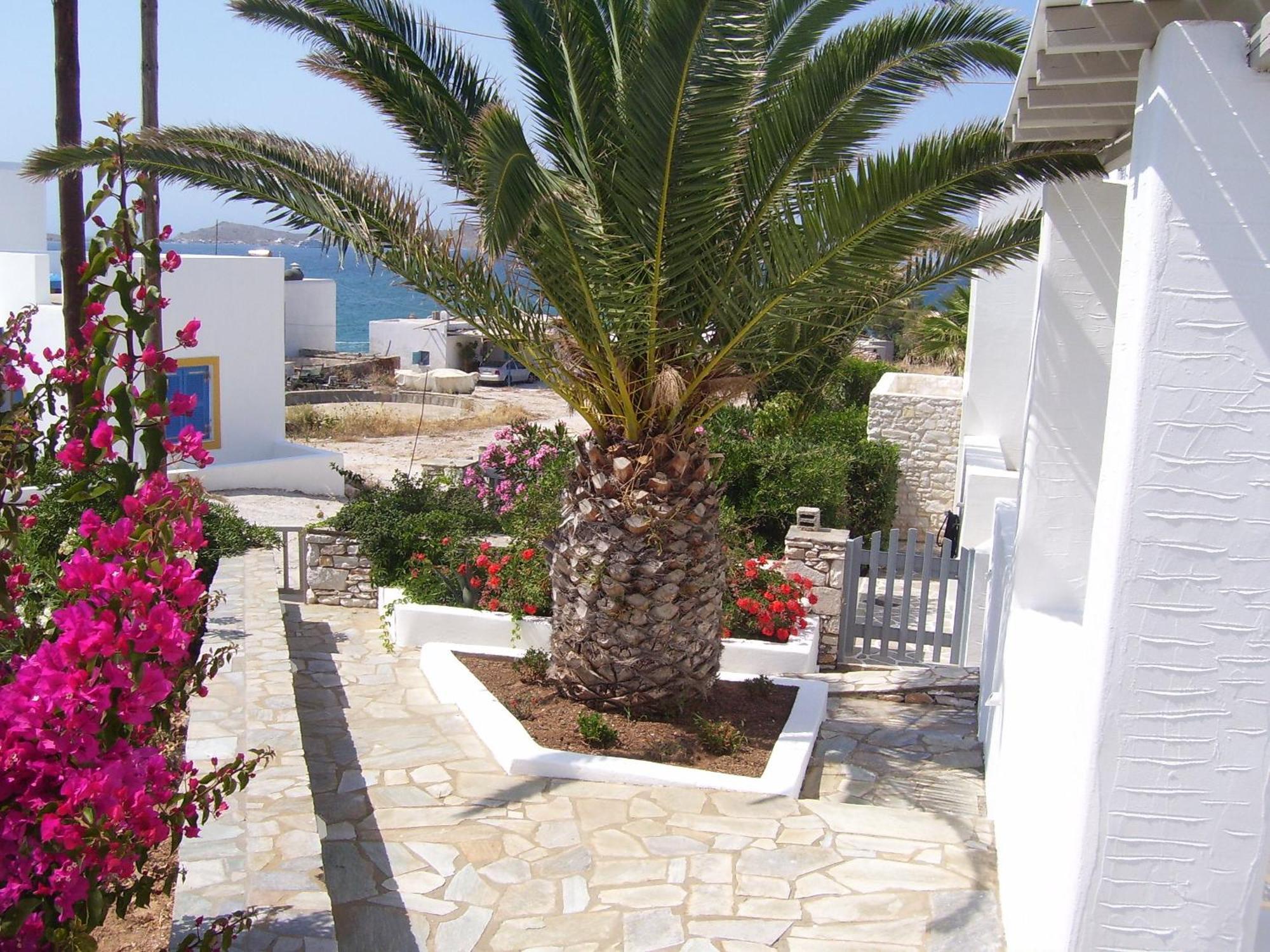 Aparthotel Despina'S Mare à Náoussa Extérieur photo