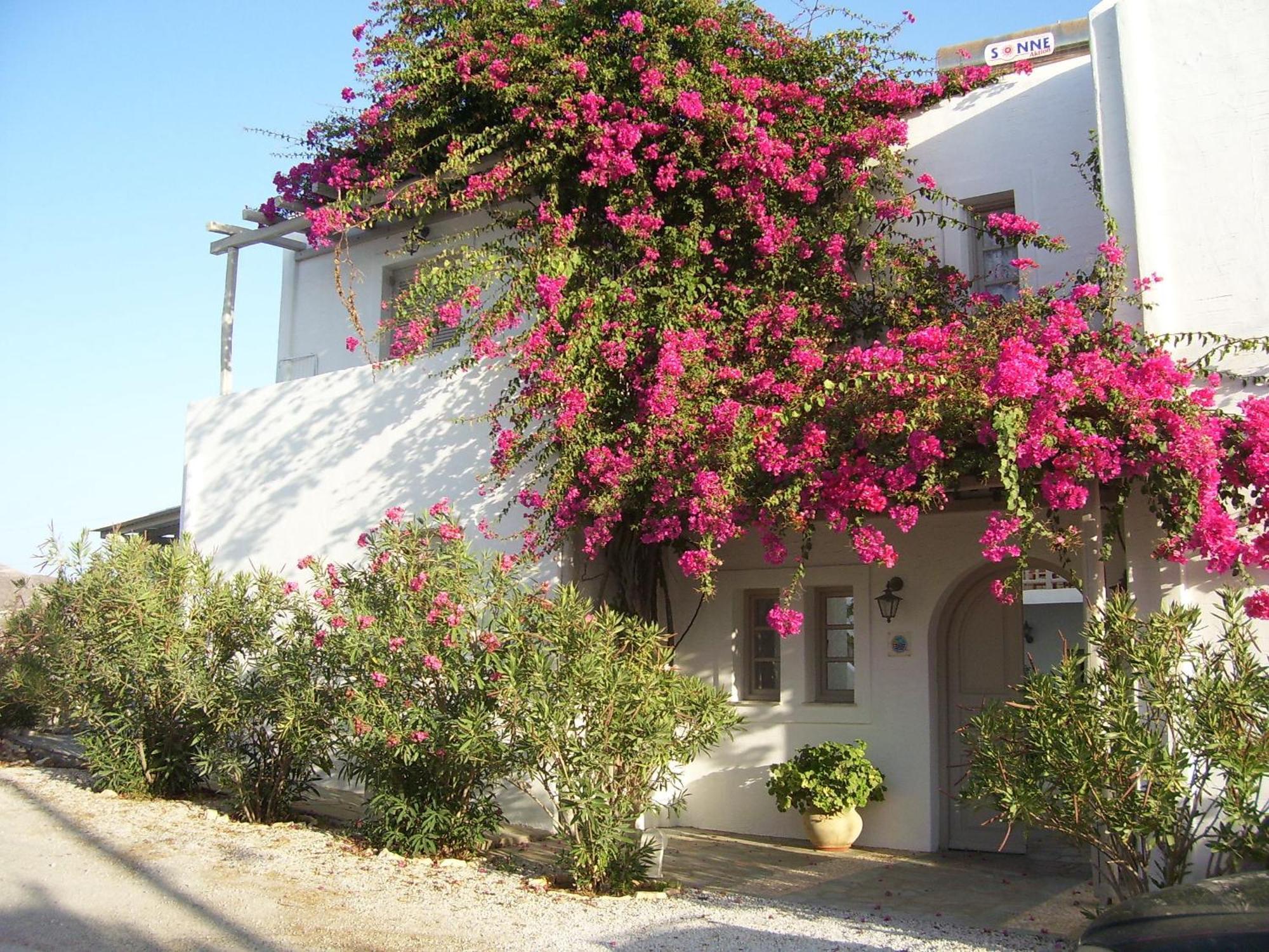 Aparthotel Despina'S Mare à Náoussa Extérieur photo
