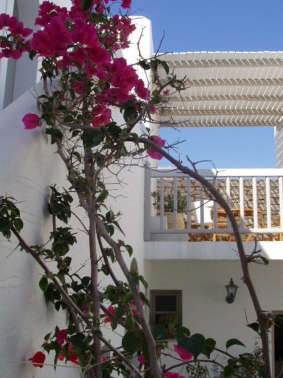 Aparthotel Despina'S Mare à Náoussa Extérieur photo