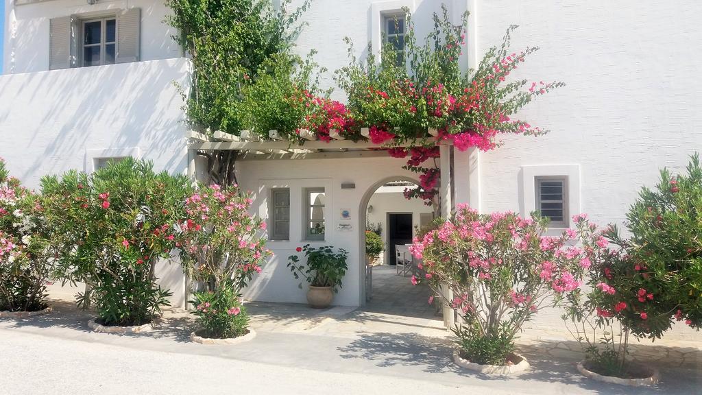 Aparthotel Despina'S Mare à Náoussa Extérieur photo